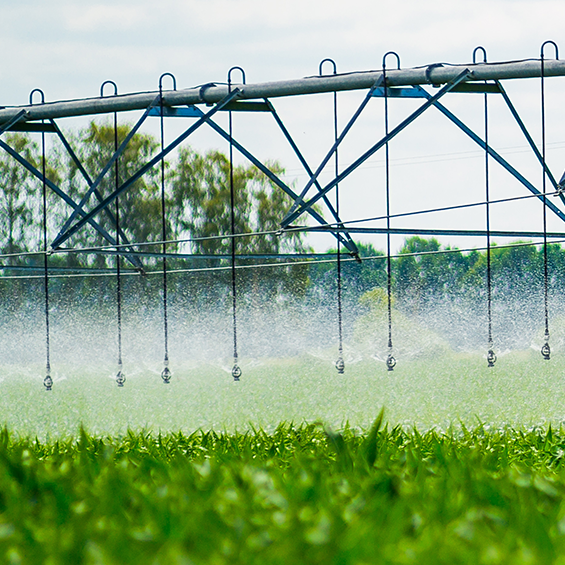 Blog Proper irrigation 1200x565 1
